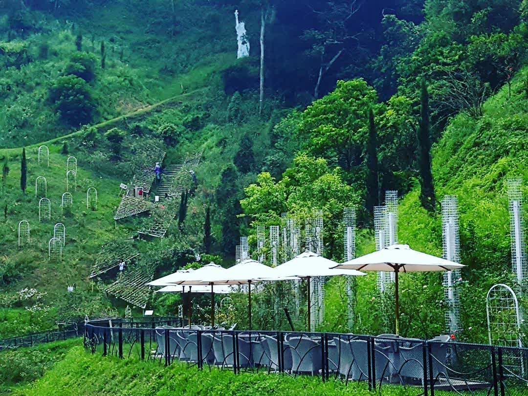 雅聞七里香玫瑰森林 | 去趣 chicTrip