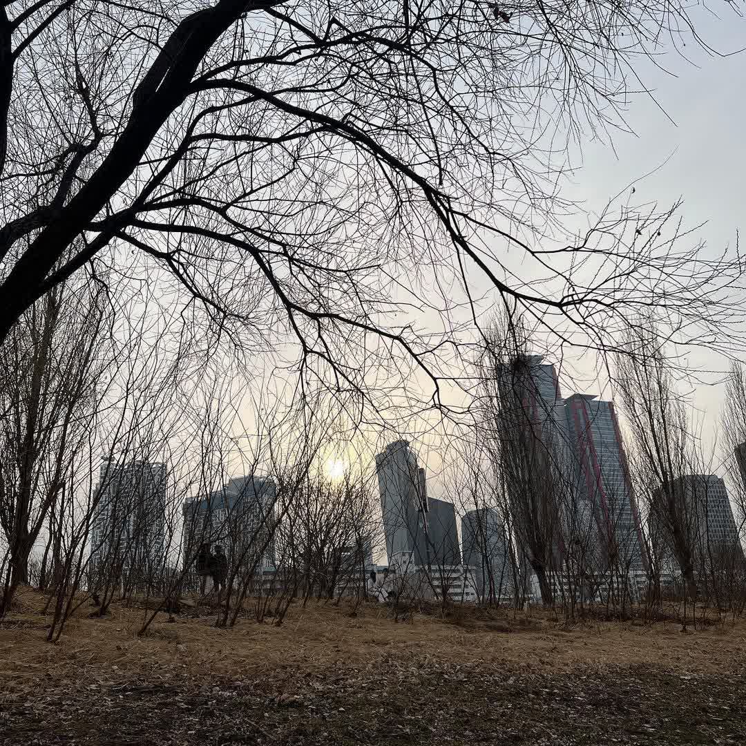 汝矣島漢江公園 | 去趣 chicTrip