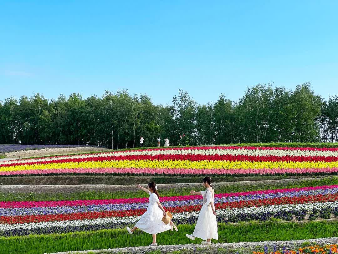 四季彩之丘 | 去趣 chicTrip