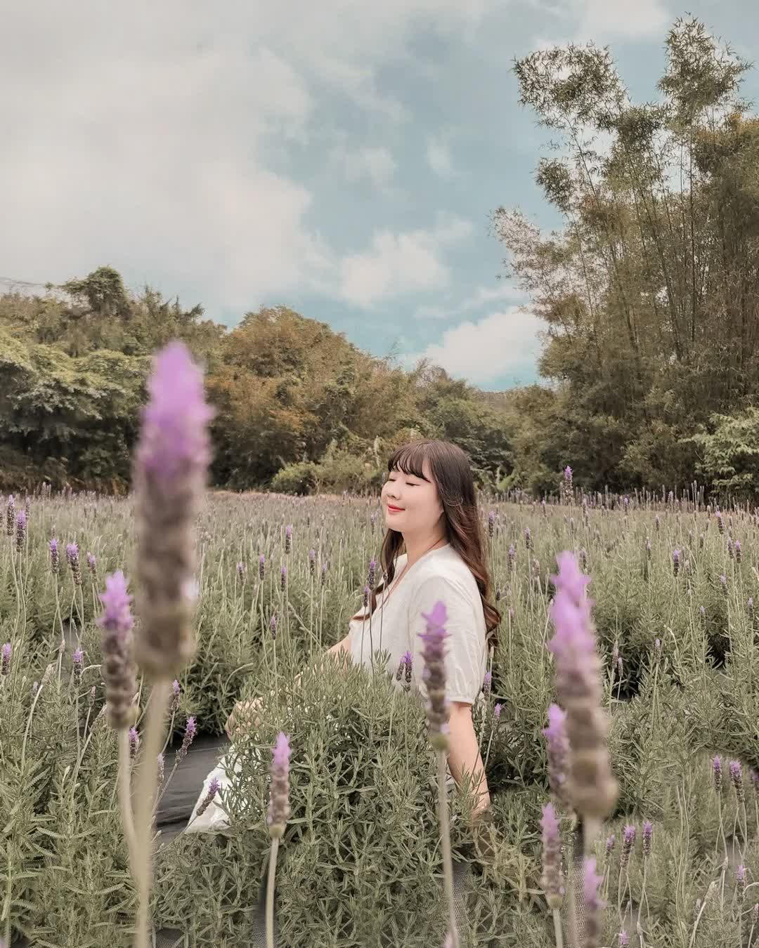 葛瑞絲香草田 | 去趣 chicTrip