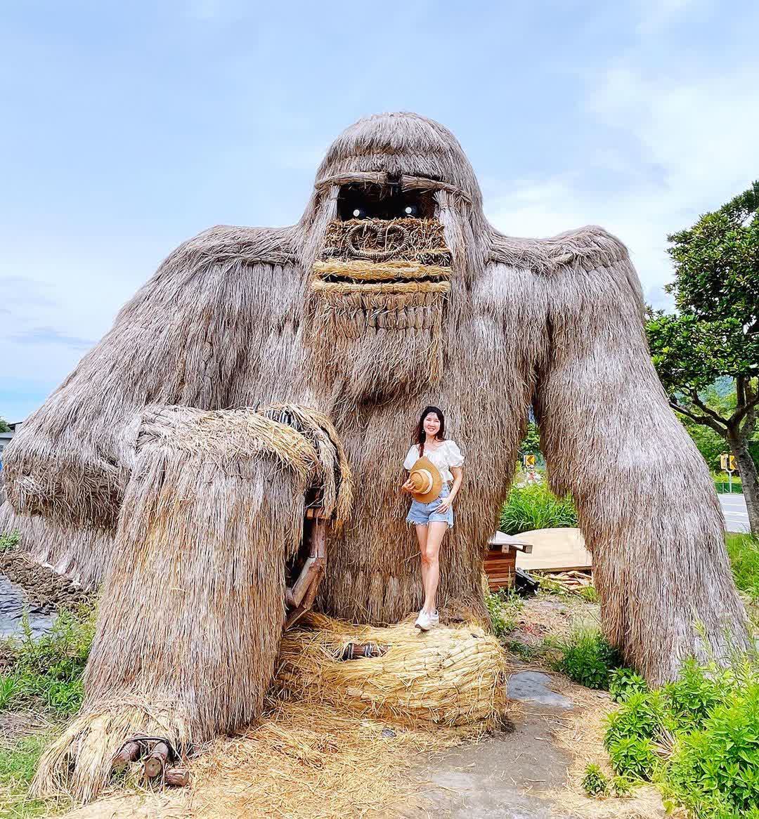 富里花海景觀區  (花蓮縣富里鄉農會旁) | 去趣 chicTrip