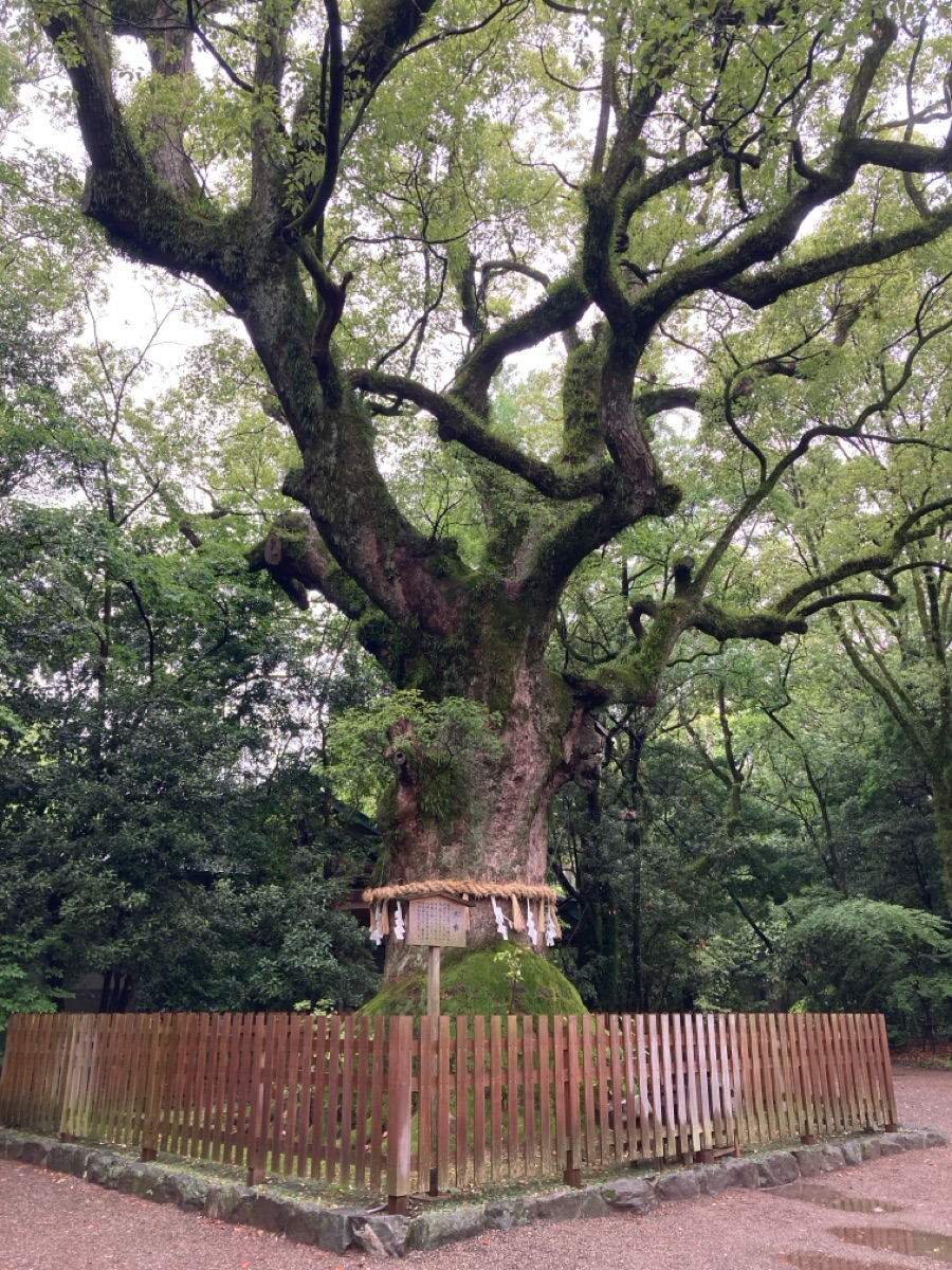 熱田神宮 | 去趣 chicTrip