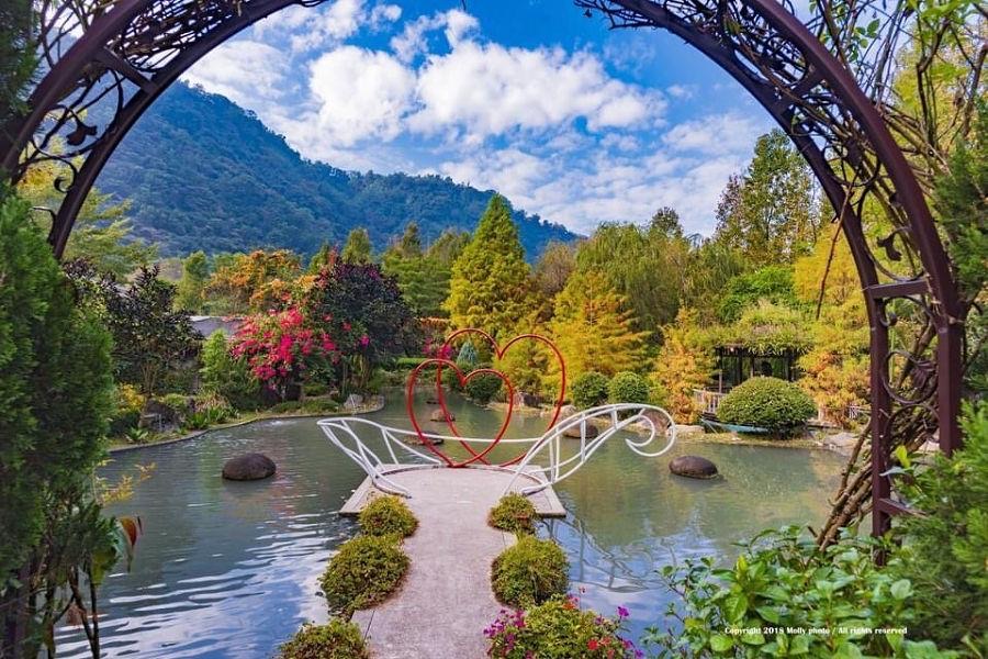 台一生態休閒農場(楓樺台一渡假村) | 去趣 chicTrip