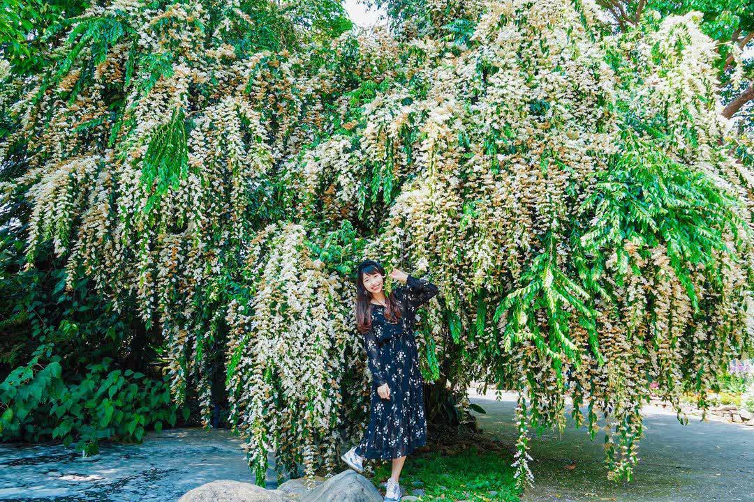 花露農場 Flower Home | 去趣 chicTrip