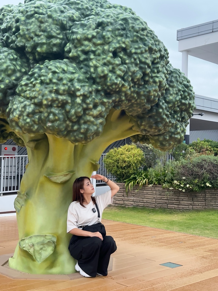 神戶機場 | 去趣 chicTrip