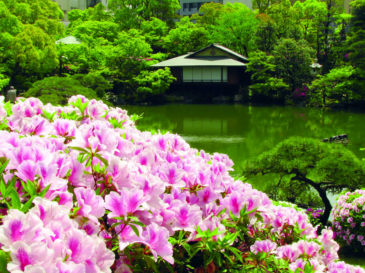 相樂園 | 去趣 chicTrip