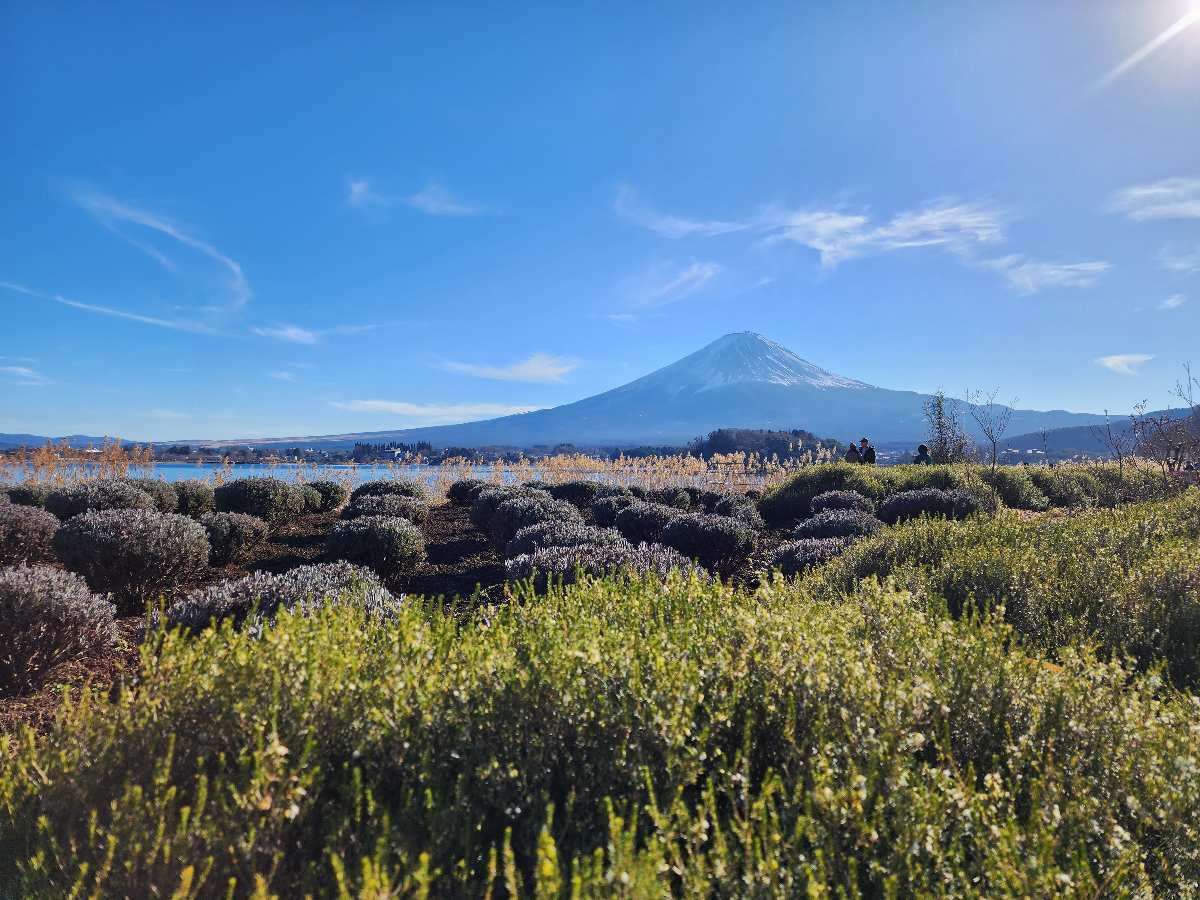 大石公園 | 去趣 chicTrip