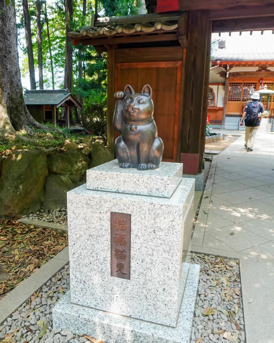 世田谷 豪德寺 | 去趣 chicTrip