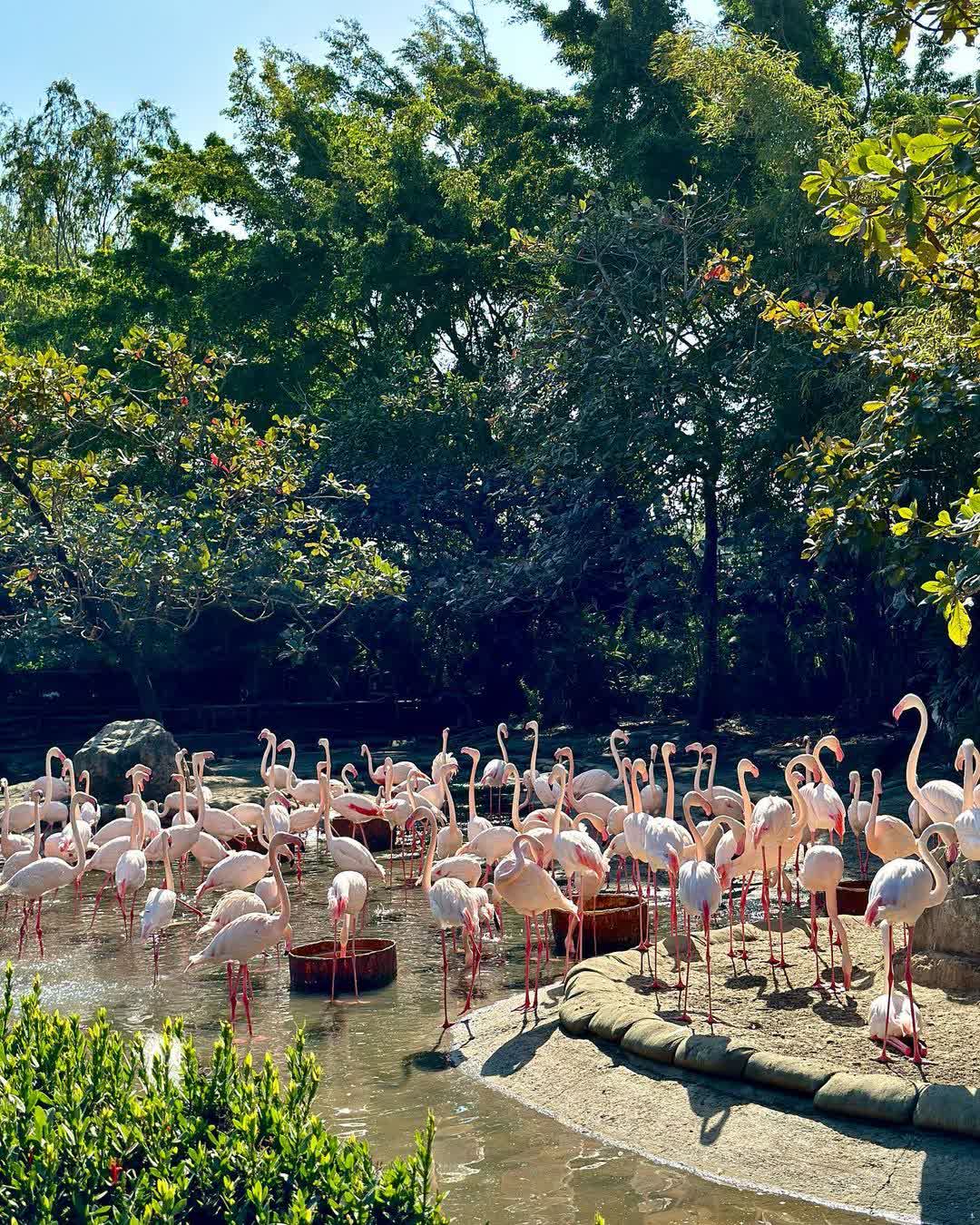 頑皮世界野生動物園 | 去趣 chicTrip