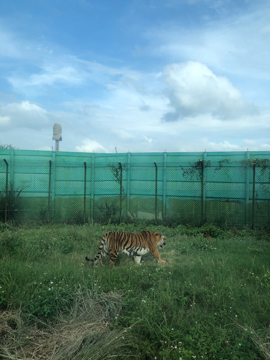 六福村主題遊樂園 | 去趣 chicTrip