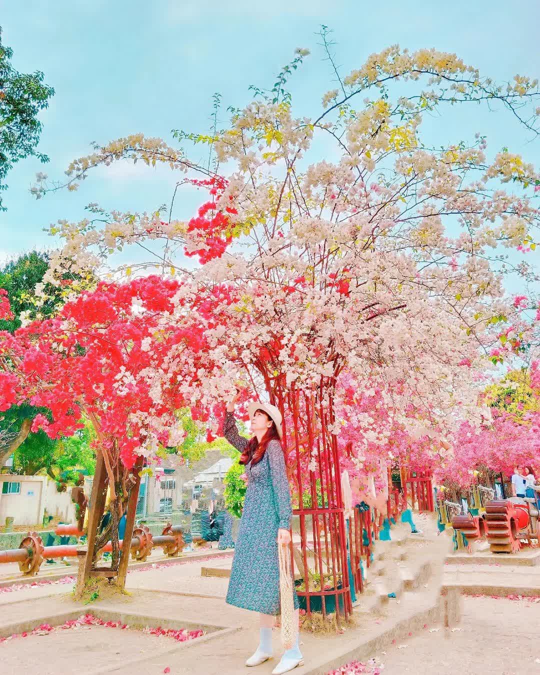 橋頭糖廠-糖業博物館 | 去趣 chicTrip