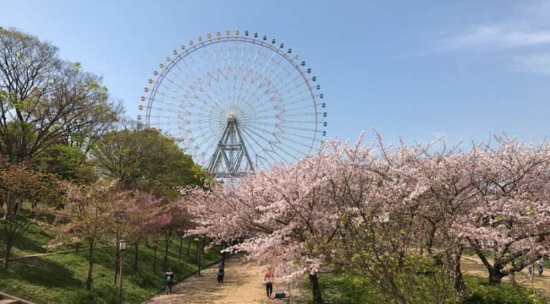 天保山公園 | 去趣 chicTrip