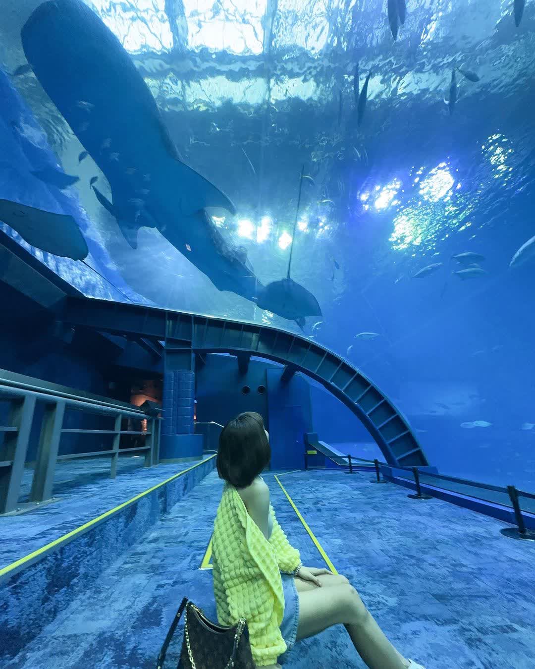 沖繩美麗海水族館 | 去趣 chicTrip