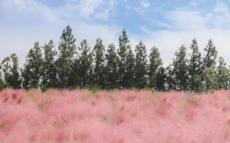 休愛里自然生活公園 | 去趣 chicTrip