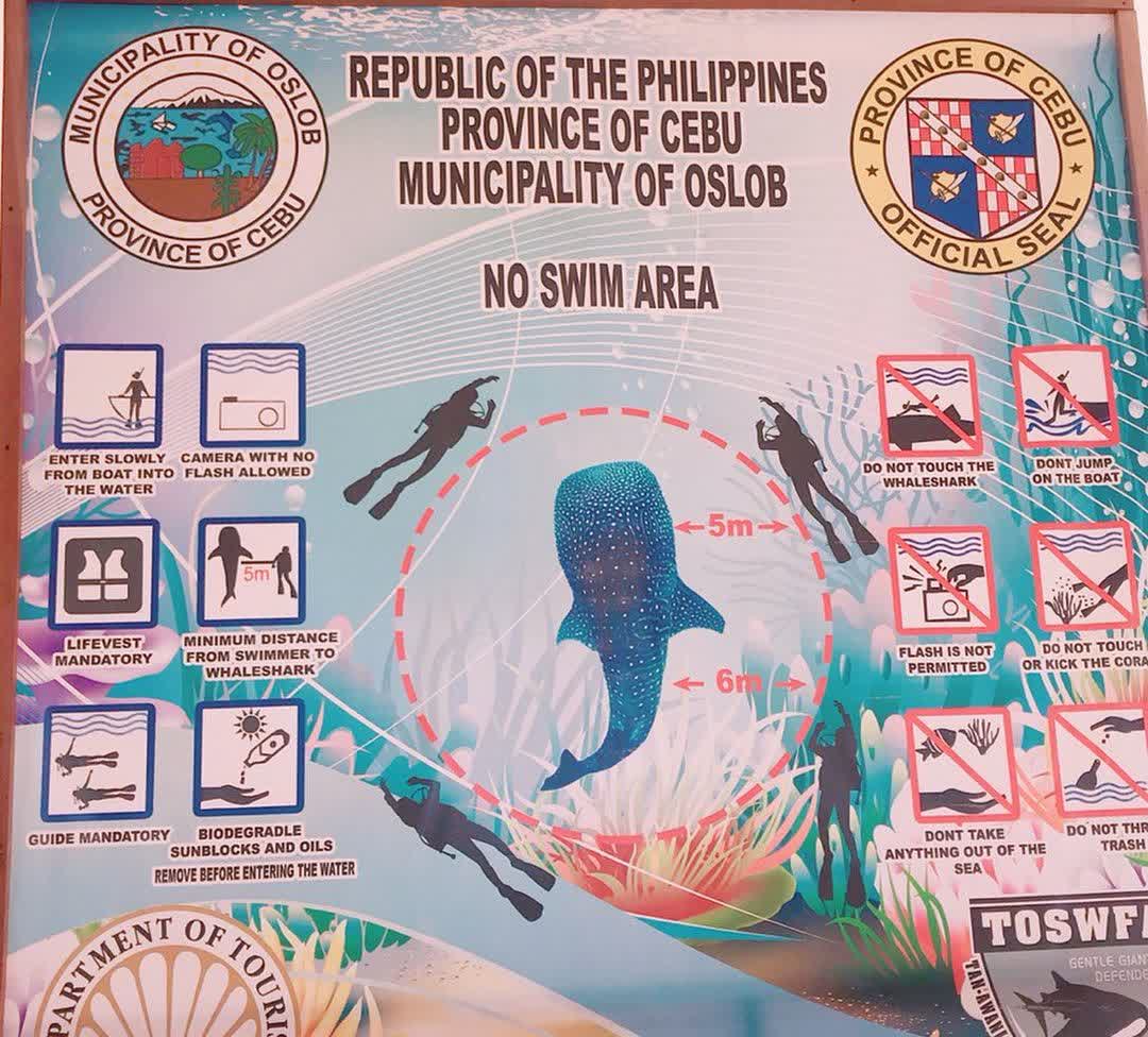 歐斯陸鯨鯊村 | 去趣 chicTrip