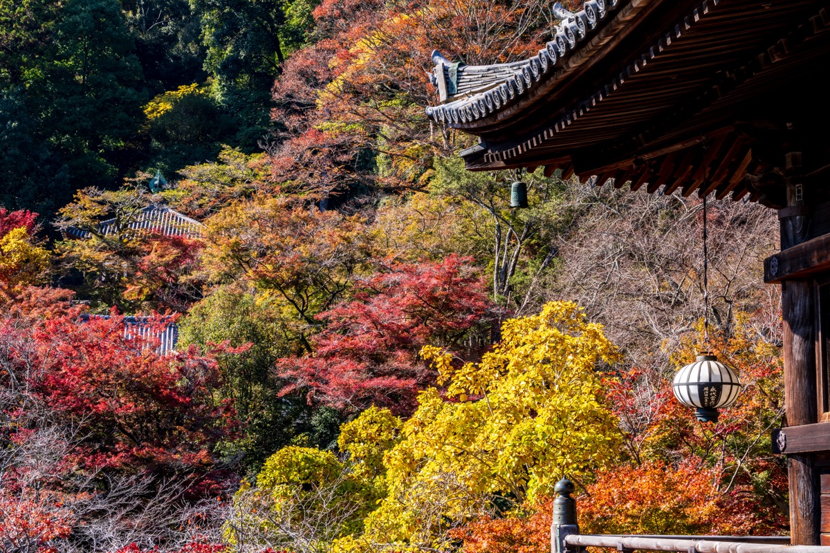 長谷寺 | 去趣 chicTrip