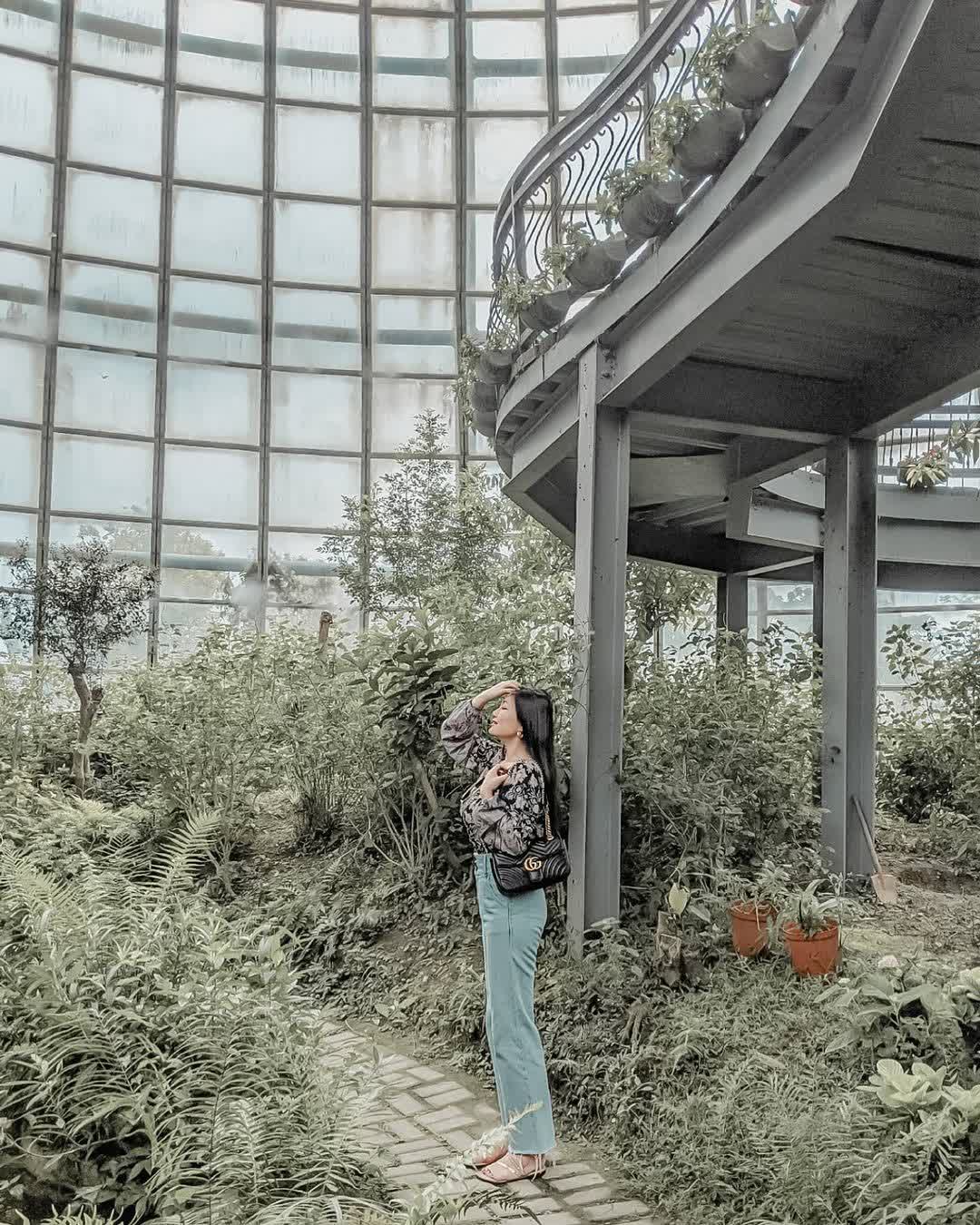 嘉大昆蟲館 | 去趣 chicTrip