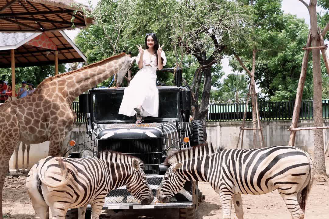 Sriayuthaya Lion Park | 去趣 chicTrip