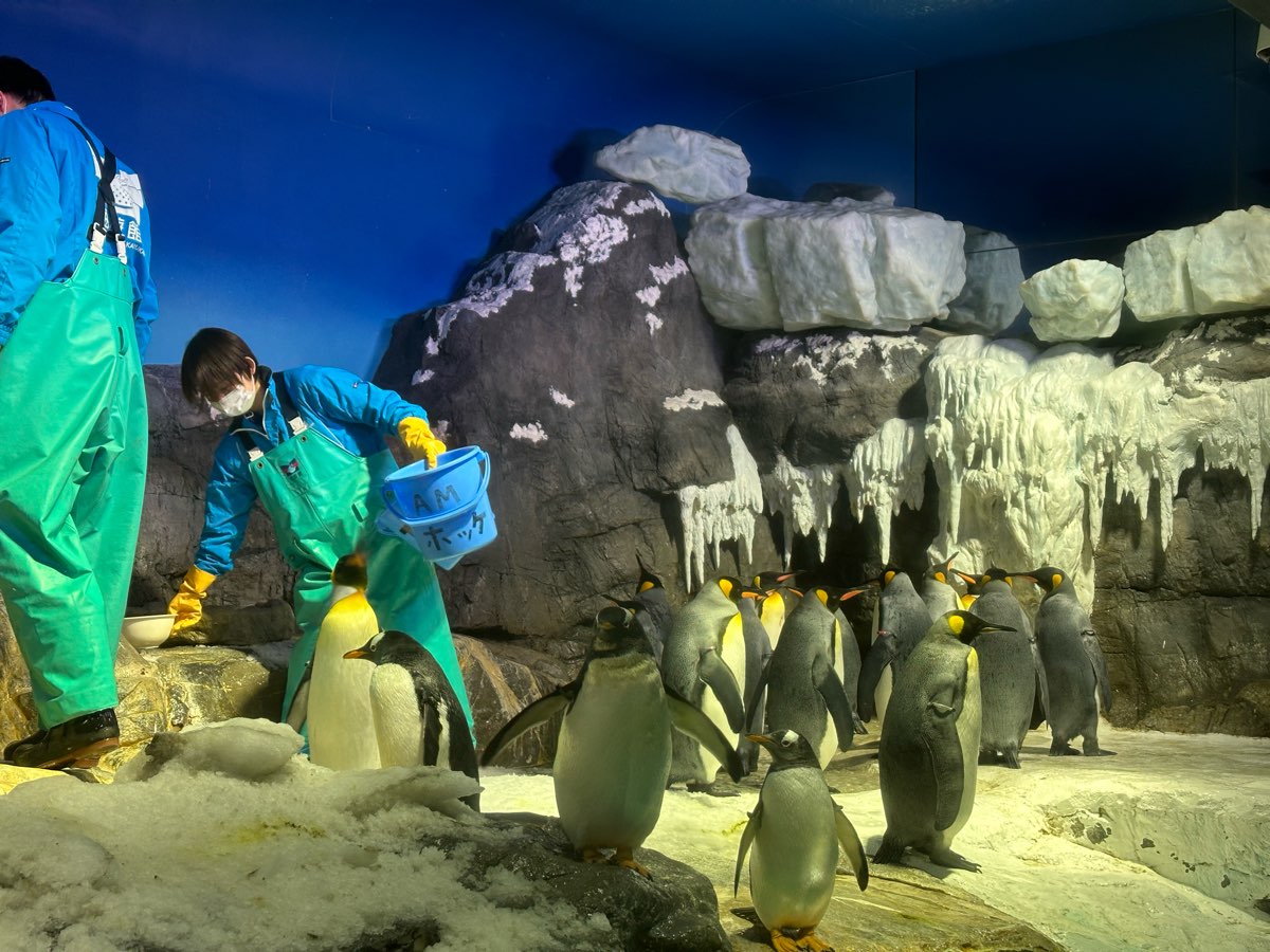 海遊館 | 去趣 chicTrip