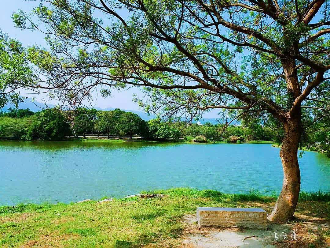 高雄市立美術館