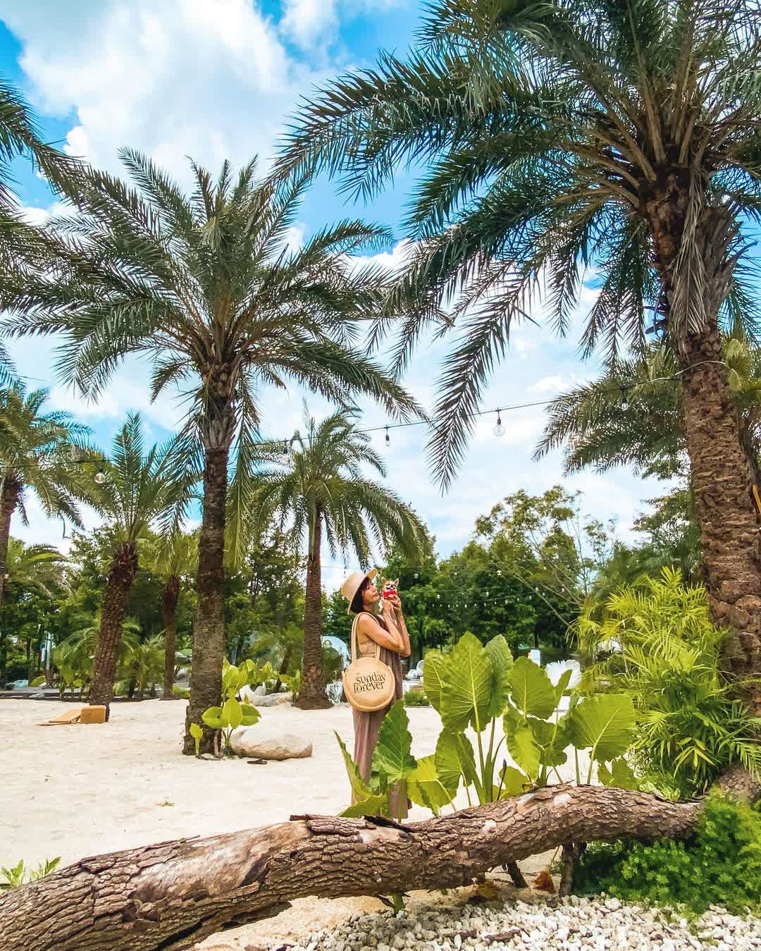 好田森林 | 去趣 chicTrip