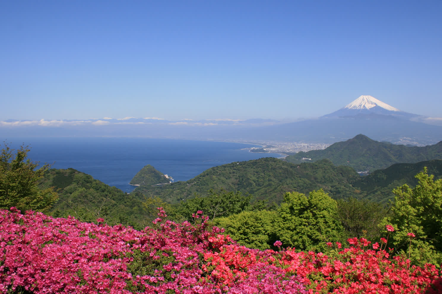 伊豆全景公園 | 去趣 chicTrip