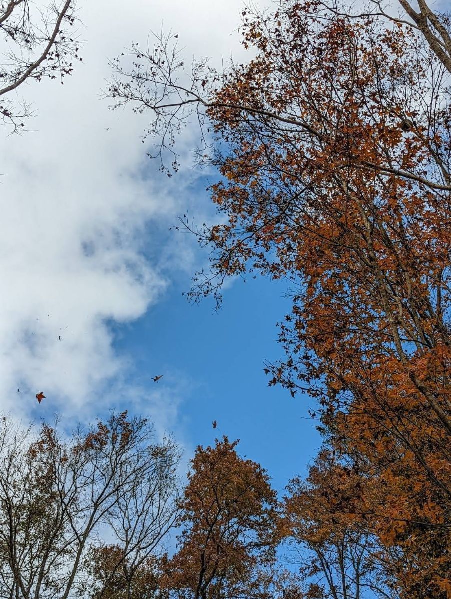 石門水庫 | 去趣 chicTrip