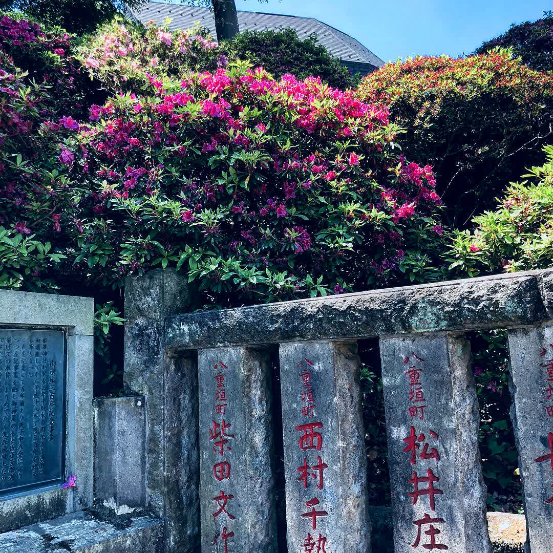 根津神社 | 去趣 chicTrip