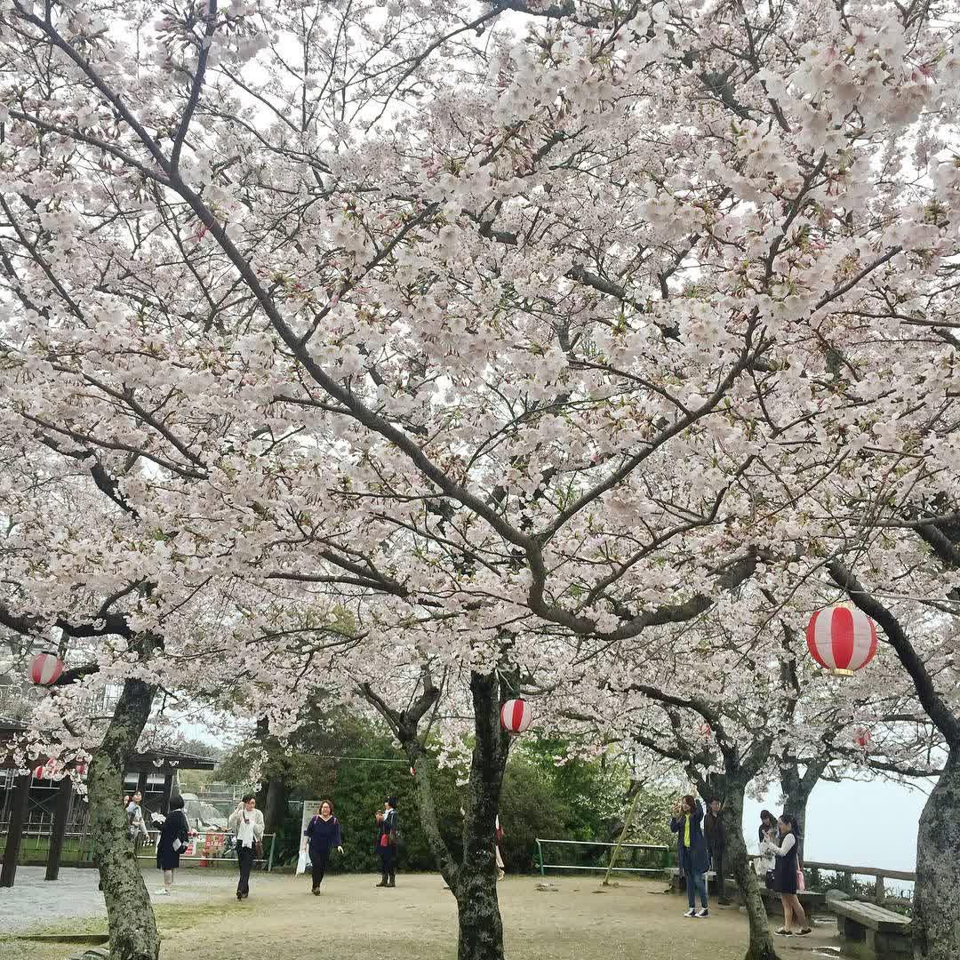 唐津城 | 去趣 chicTrip