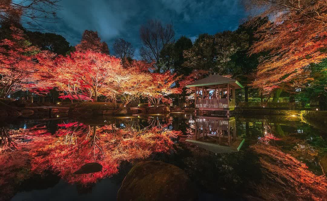 大田黑公園 | 去趣 chicTrip