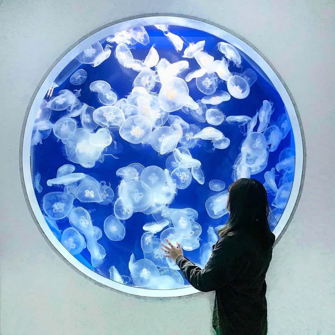Xpark 水族館 | 去趣 chicTrip