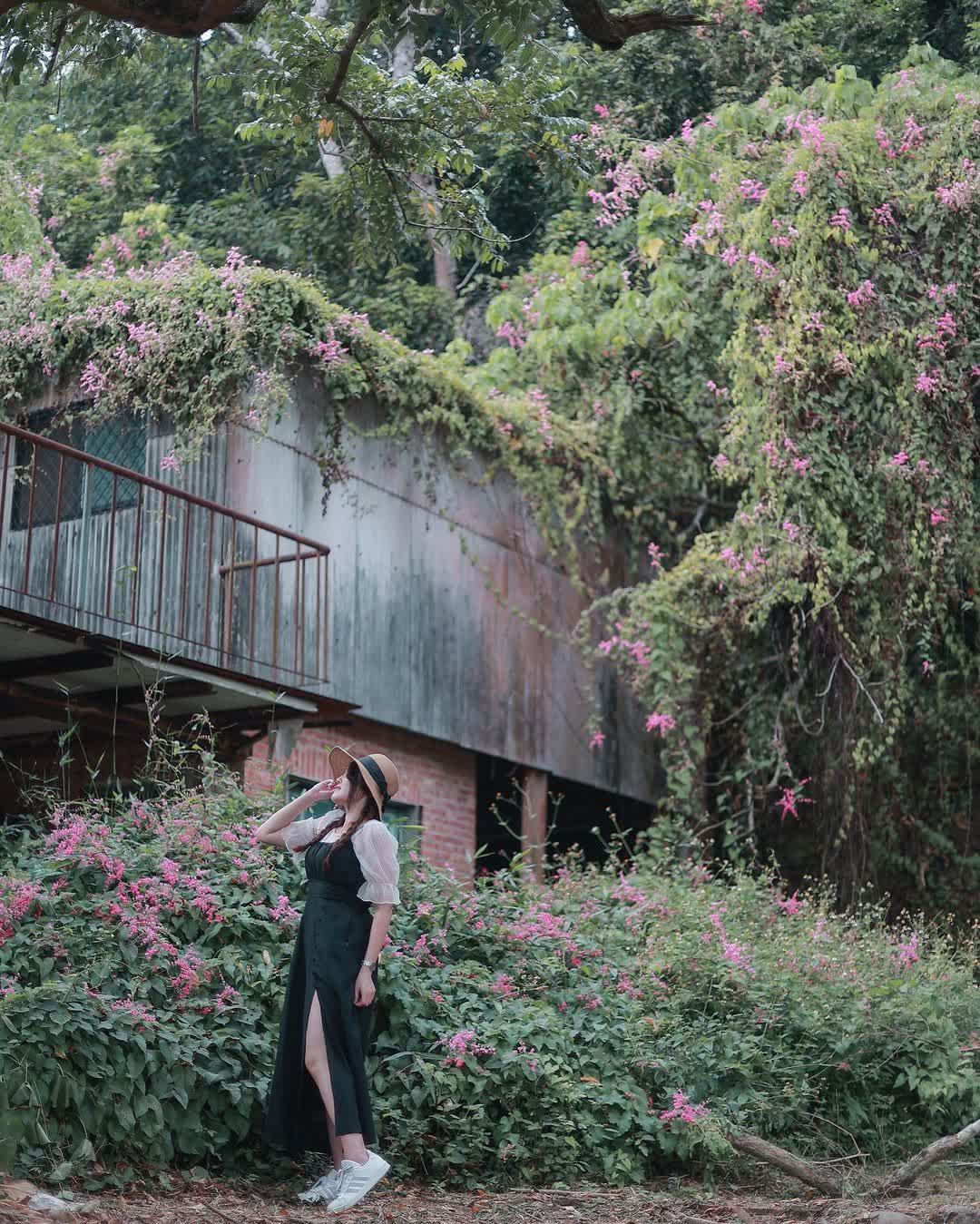 中興新村 | 去趣 chicTrip