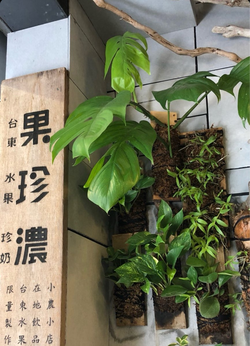 果珍濃台東水果珍奶 | 去趣 chicTrip