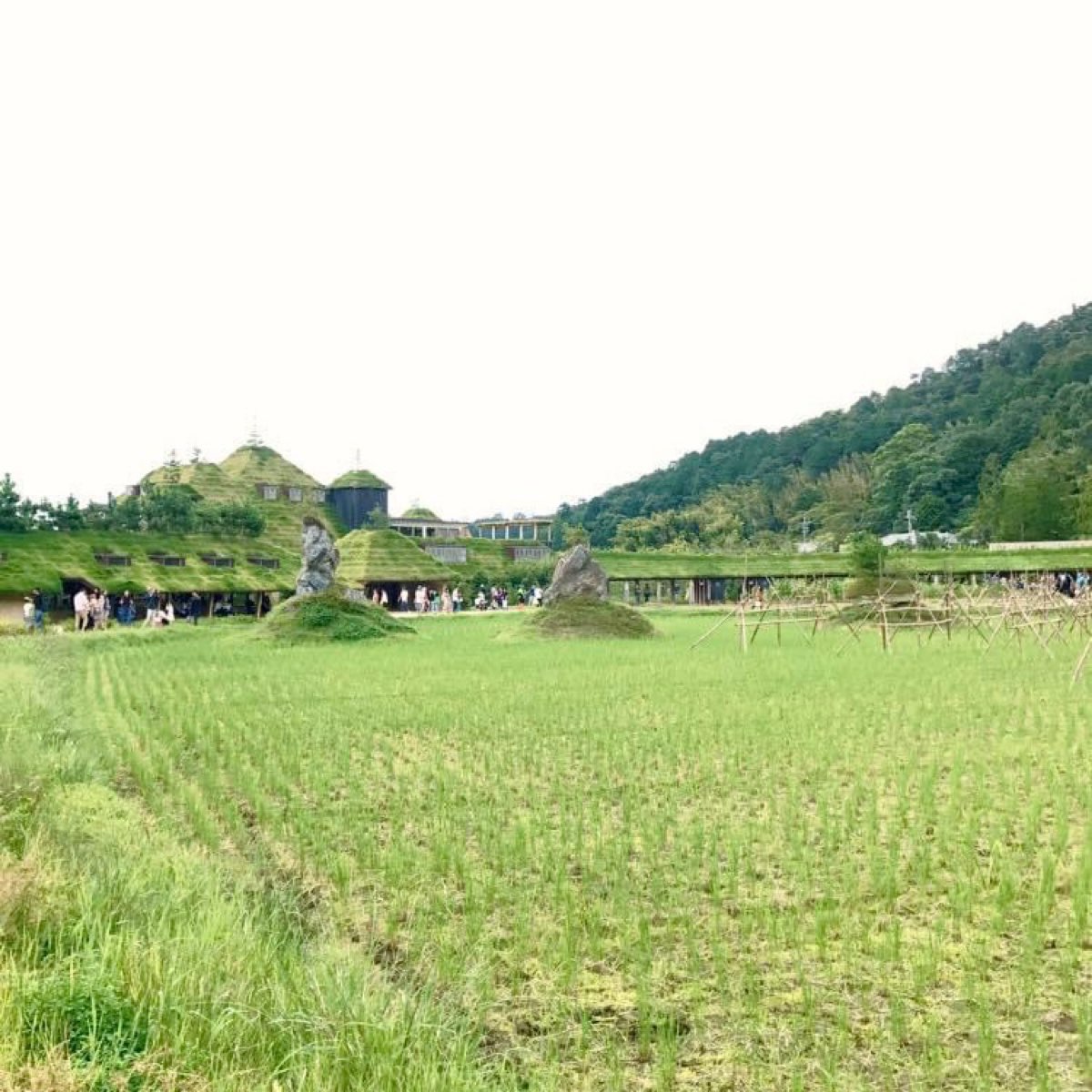 La Collina 近江八幡 | 去趣 chicTrip