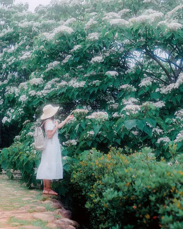 臺灣客家文化館 | 去趣 chicTrip