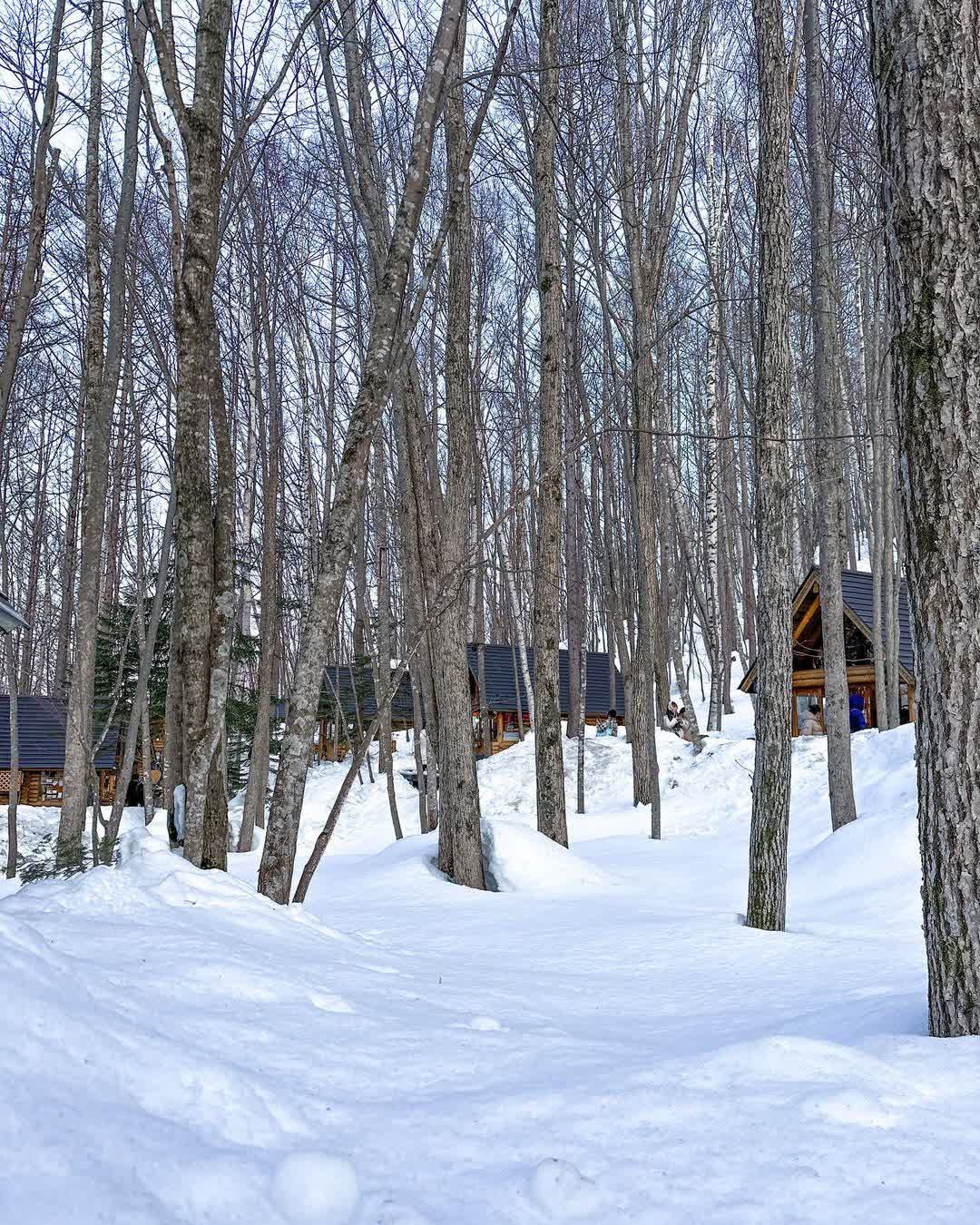 森林精靈露台 | 去趣 chicTrip