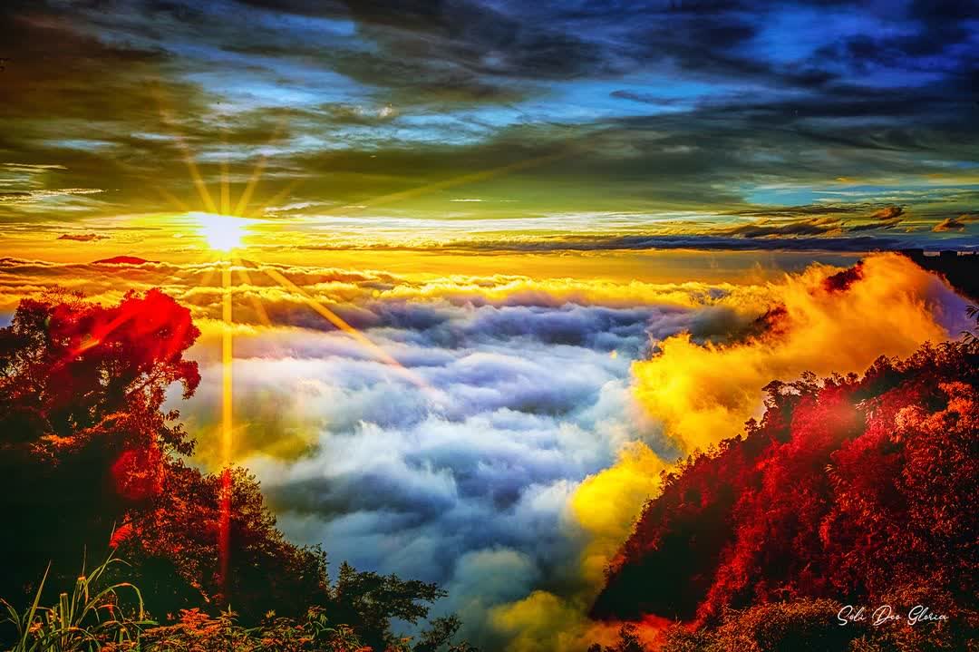 杉林溪森林生態渡假園區 | 去趣 chicTrip