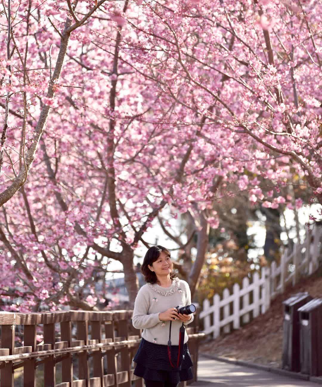 清境農場青青草原 | 去趣 chicTrip