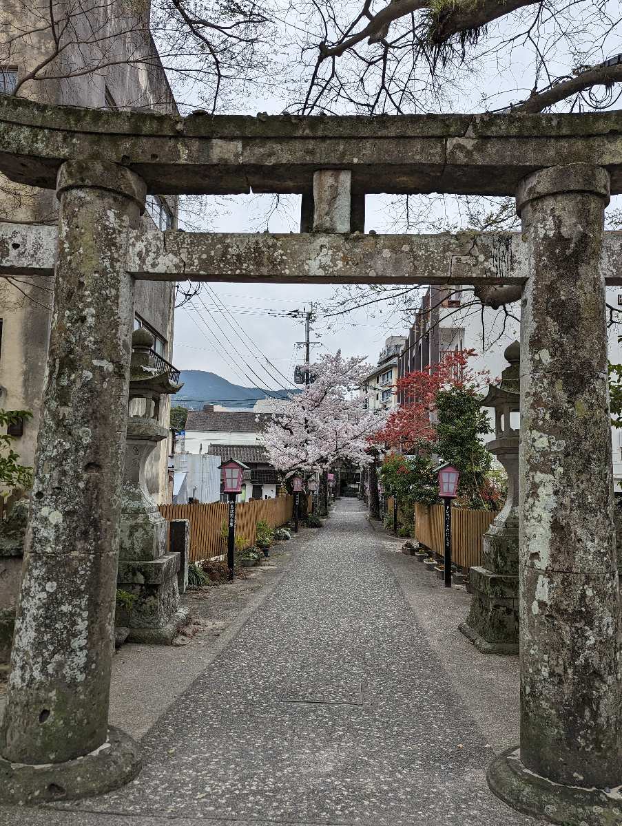 白鯰魚 豐玉姫神社 | 去趣 chicTrip