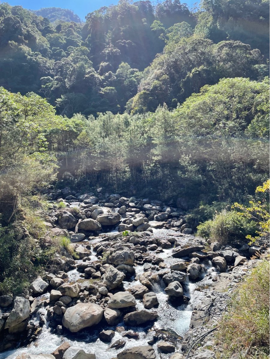 八仙山國家森林遊樂區 | 去趣 chicTrip