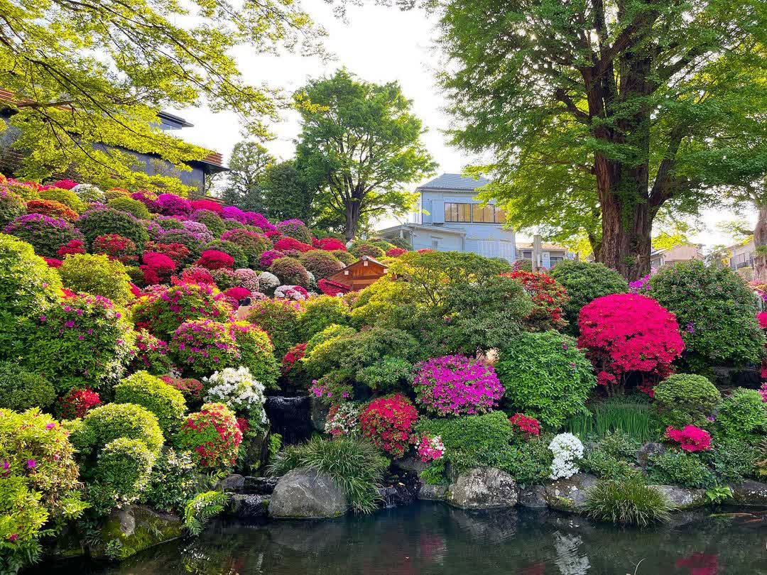 根津神社 | 去趣 chicTrip