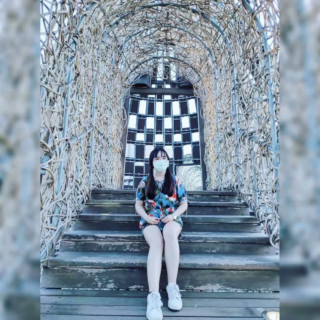 森林之歌 | 去趣 chicTrip