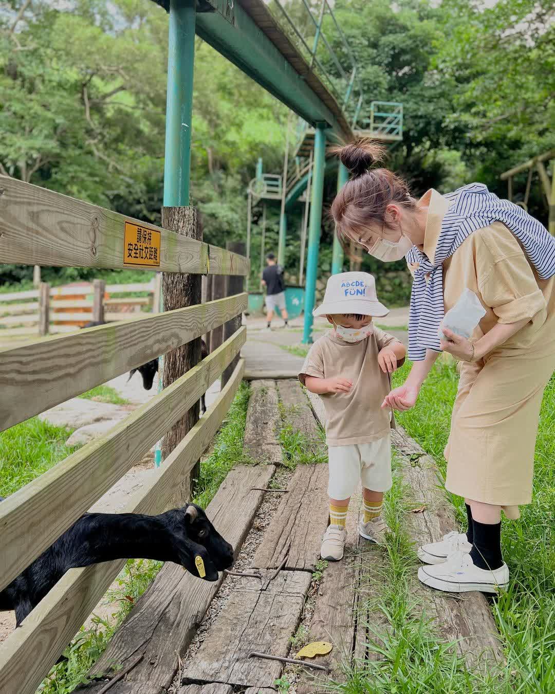 飛牛牧場 | 去趣 chicTrip