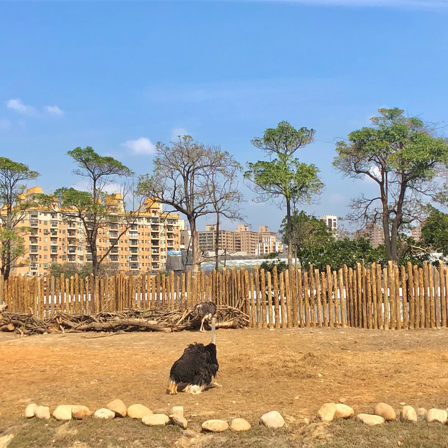 新竹市立動物園 | 去趣 chicTrip