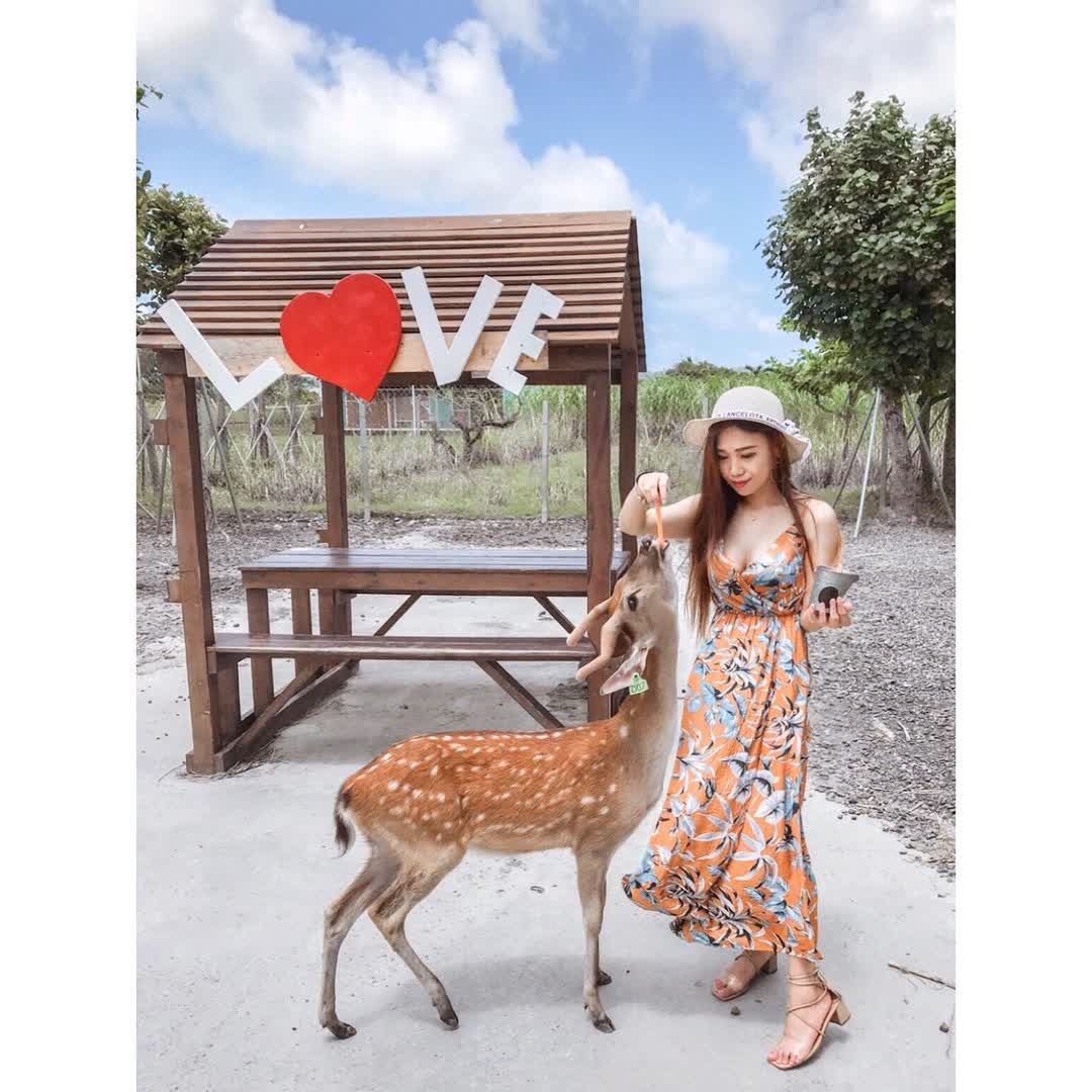 鹿境梅花鹿生態園區丨門票消費最高折抵140丨梅花鹿、水豚互動餵食丨室內親子DIY區丨親子遊戲區丨甜鹹輕食霜淇淋供應丨超可愛獨家紀念品丨奶茶、咖啡好喝 | 去趣 chicTrip