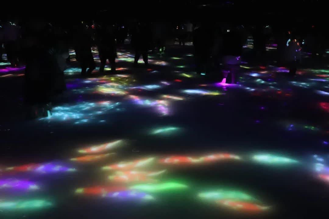 teamLab Planets TOKYO DMM | 去趣 chicTrip