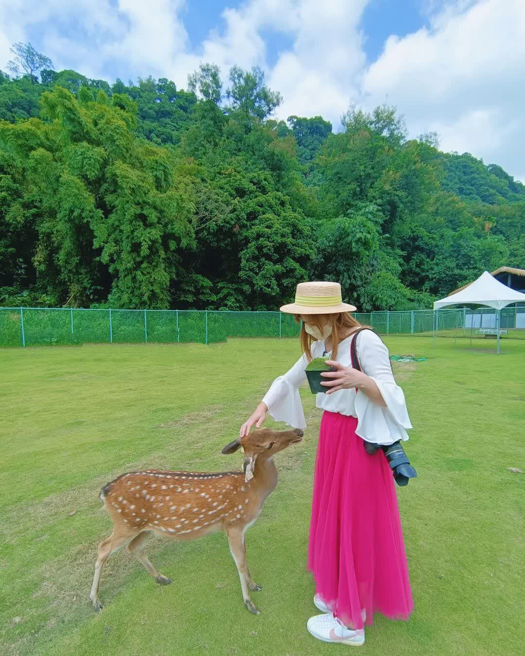 逐鹿傳說梅花鹿園 | 去趣 chicTrip
