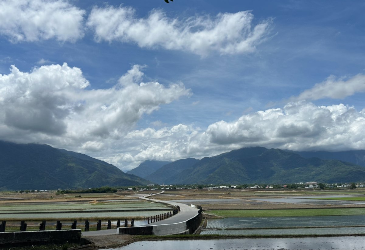 臺東池上錦新三號道路 伯朗大道 | 去趣 chicTrip
