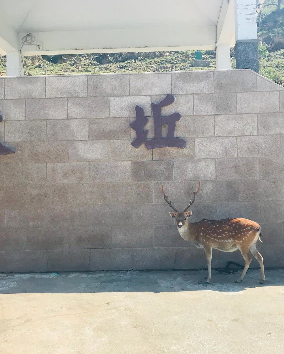 大坵島 | 去趣 chicTrip