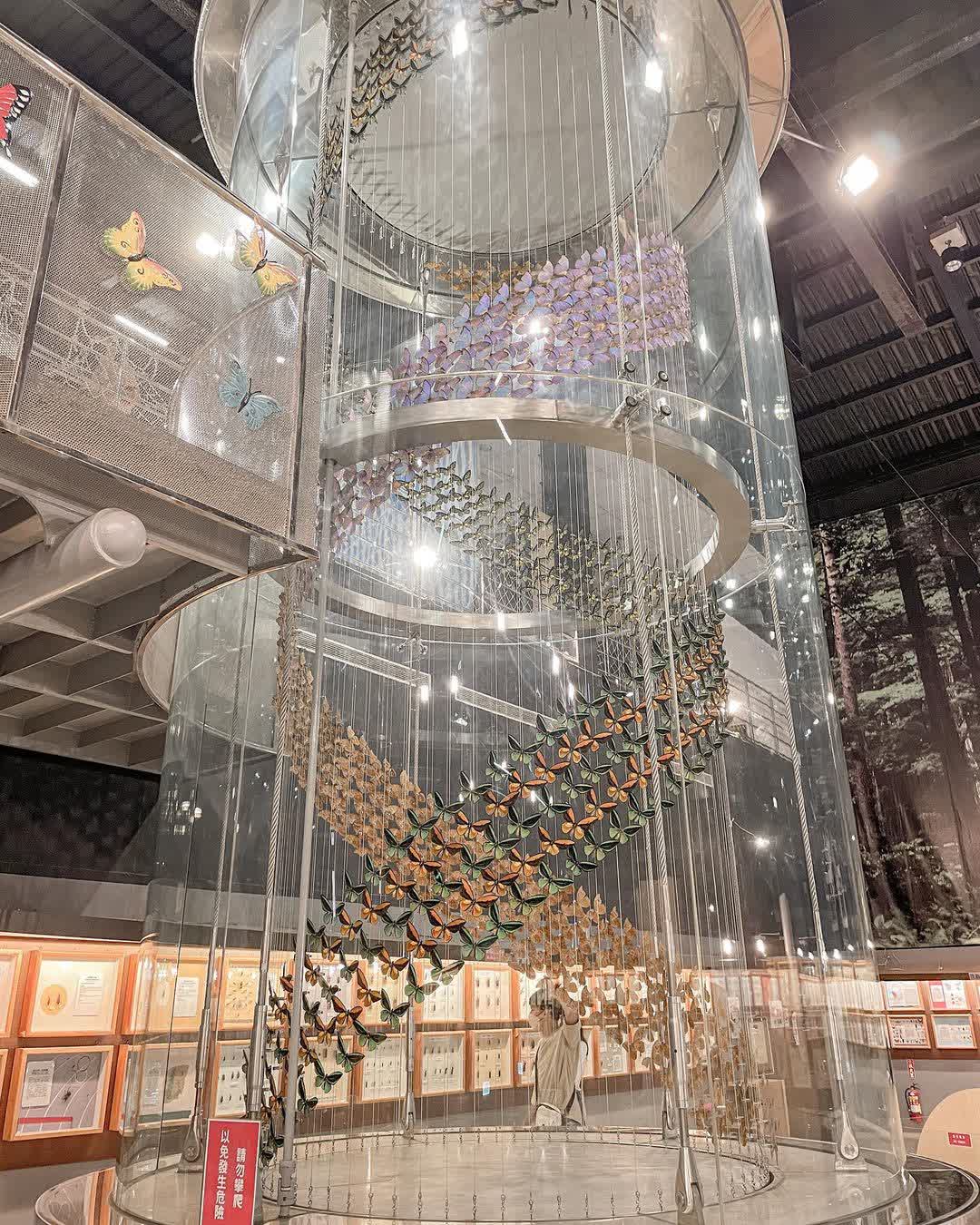 嘉大昆蟲館 | 去趣 chicTrip